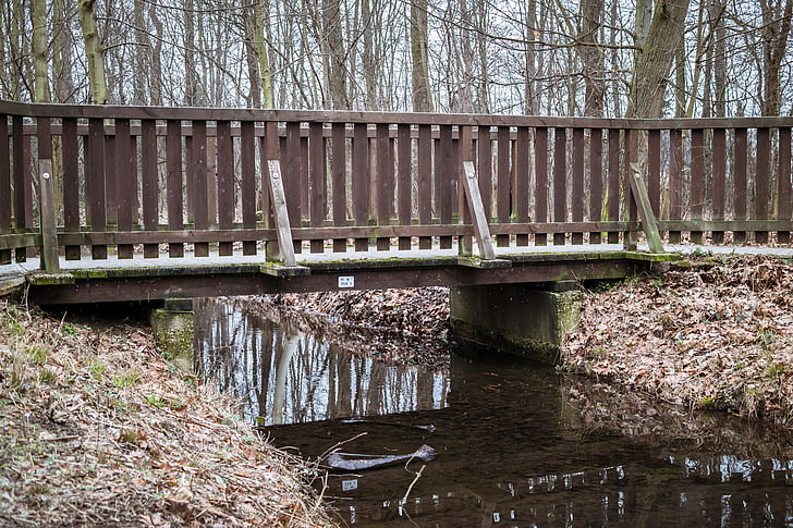 bridge, bach, railing, river, trees, forest, mirroring
