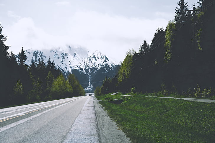 autostrada, drumul, pădure, munte, zăpadă, copac, drum forestier