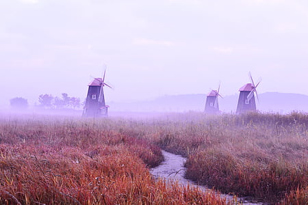 fog, field, silver grass, windmill, wind, morning, sky