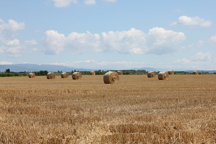 musim panas, Hay, pemandangan, Haystacks, bidang, langit, pertanian