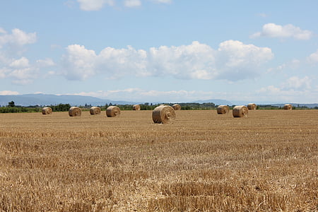 summer, hay, landscapes, haystacks, fields, sky, agriculture