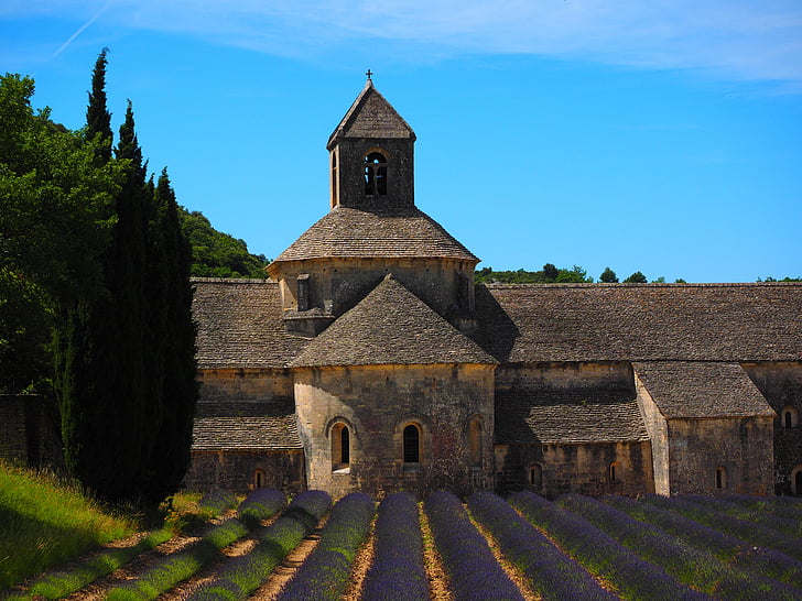 Abbaye de senanque, kloster, Abbey, Notre dame de sénanque, beställa av Cisterciansen, Gordes, Vaucluse