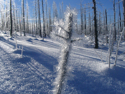 Kış, Frost, doğa, buz kristalleri, jel, soğuk, buz oluşumları