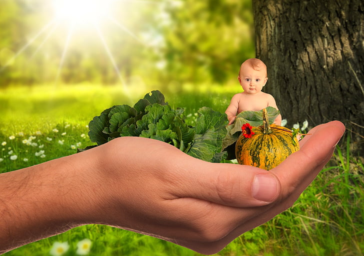 barn, Baby, grönsaker, frukt, friska, naturen, näringslära