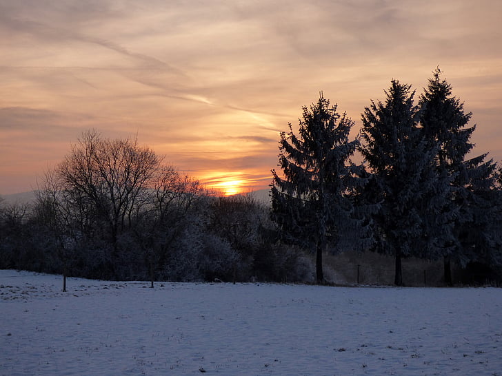 Sunset, talvi, lumen maisema, Sun, valkoinen, kylmä, puut