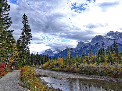 Sonbahar, dağlar, Orman, nehir, bisikleti, Rocky Dağları, Kanada