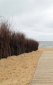 Dune, coasta, plajă, Steeg, mare, apa, vacanta
