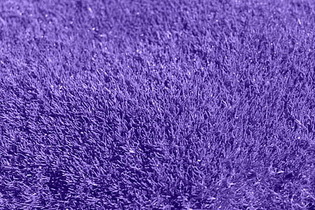 latar belakang, ungu, rumput, ungu, karpet, kain, latar belakang