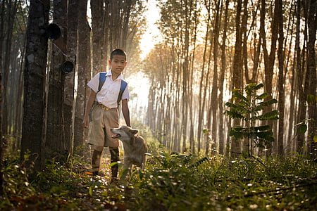 school, student, dog, child, one person, one man only, forest