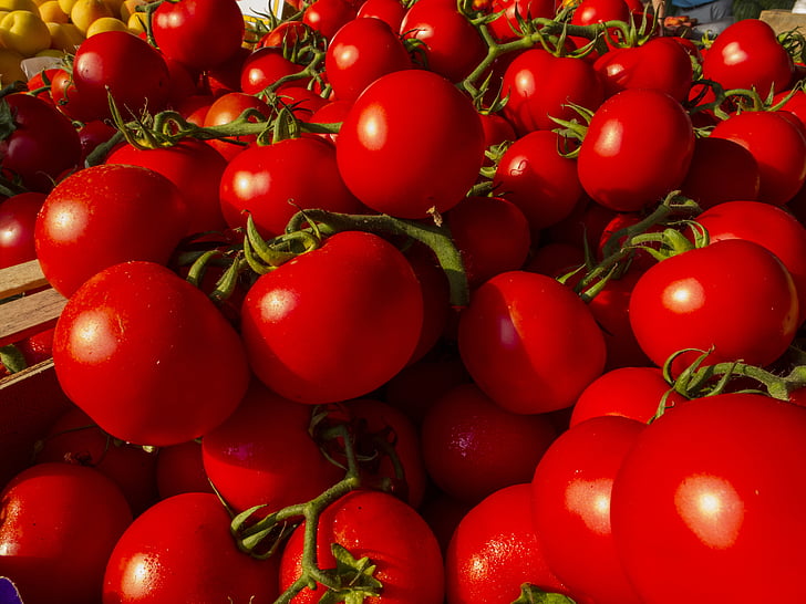 tomatid, köögiviljad, punane, toidu, puu, tomat, taimne