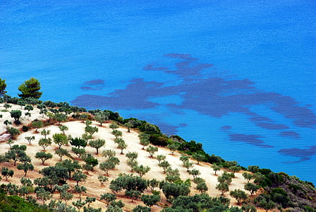 Playa, mar, árbol, días de fiesta, verano, Isla, Zakynthos