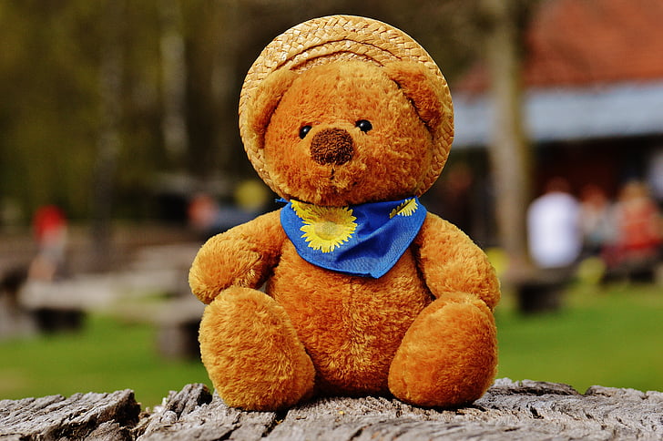 bear, teddy, soft toy, stuffed animal, teddy bear, brown bear, children