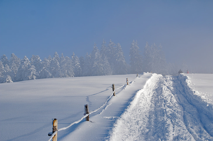 Vinter, snø, vinterlig, natur, lys, skygge, snø landskap