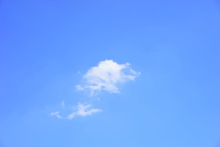 mraky, Cumulus, kupovité mraky, letní den, obloha, modrá, slunečno