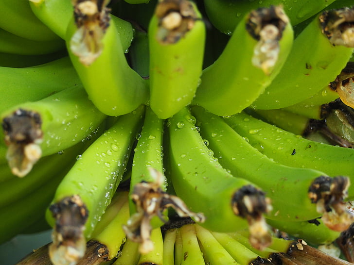 plátano, fruta, gota de agua, verde, planta