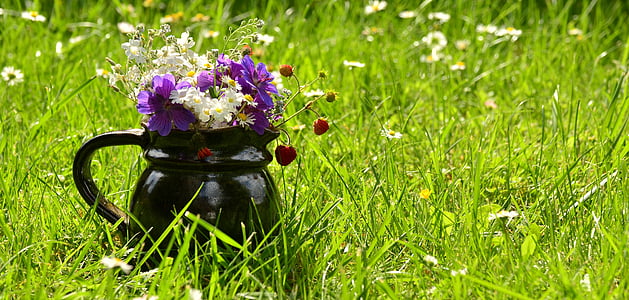 цвете поляна, букет, диви цветя, лято, цветни, ваза за цветя, трева