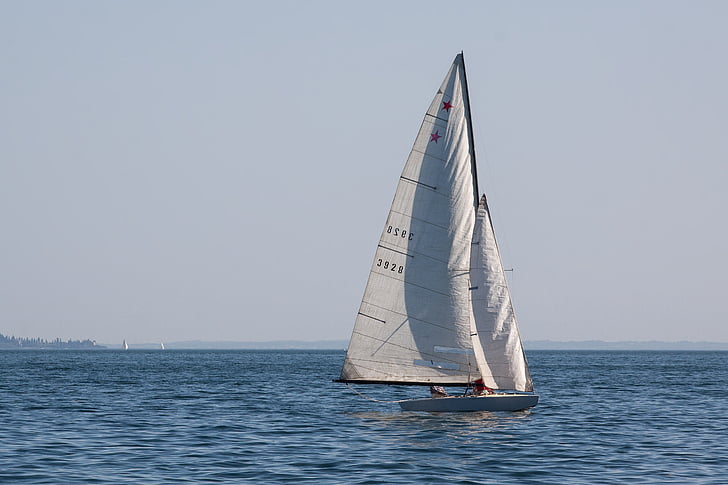 sailing boat, water sports, lake, boot, water, sail, ship