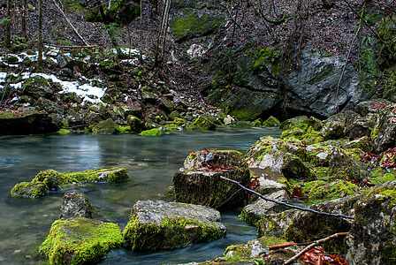 Stream, Creek, air, batu, batu-batu, berbatu, musim