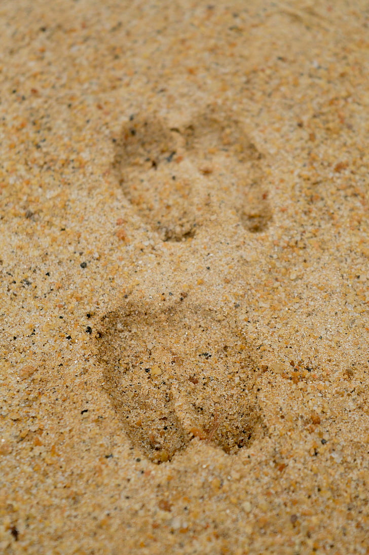 empreintes, empreintes de pas, traces, sable, plage, mer, nature