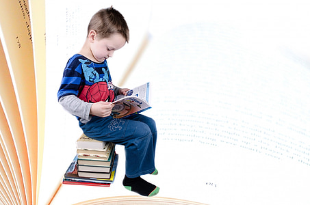barn, bok, gutt, studere, isolert, pedagogisk, visdom