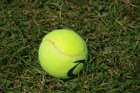 게임, 테니스, 스포츠, 공, 테니스 공, 야외에서, 장비
