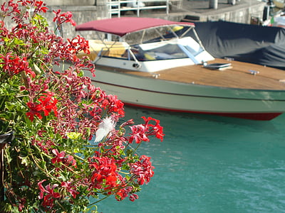 Porto, båd, søen, nautiske fartøj