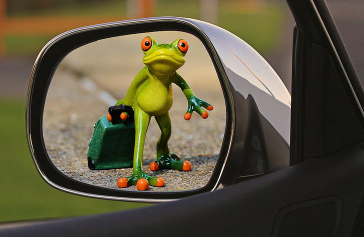 time to go, frog, farewell, sad, luggage, trolley, funny