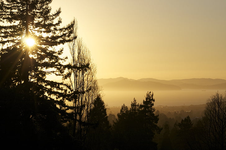 Sunset, silhuet, natur, udendørs, sollys, aften