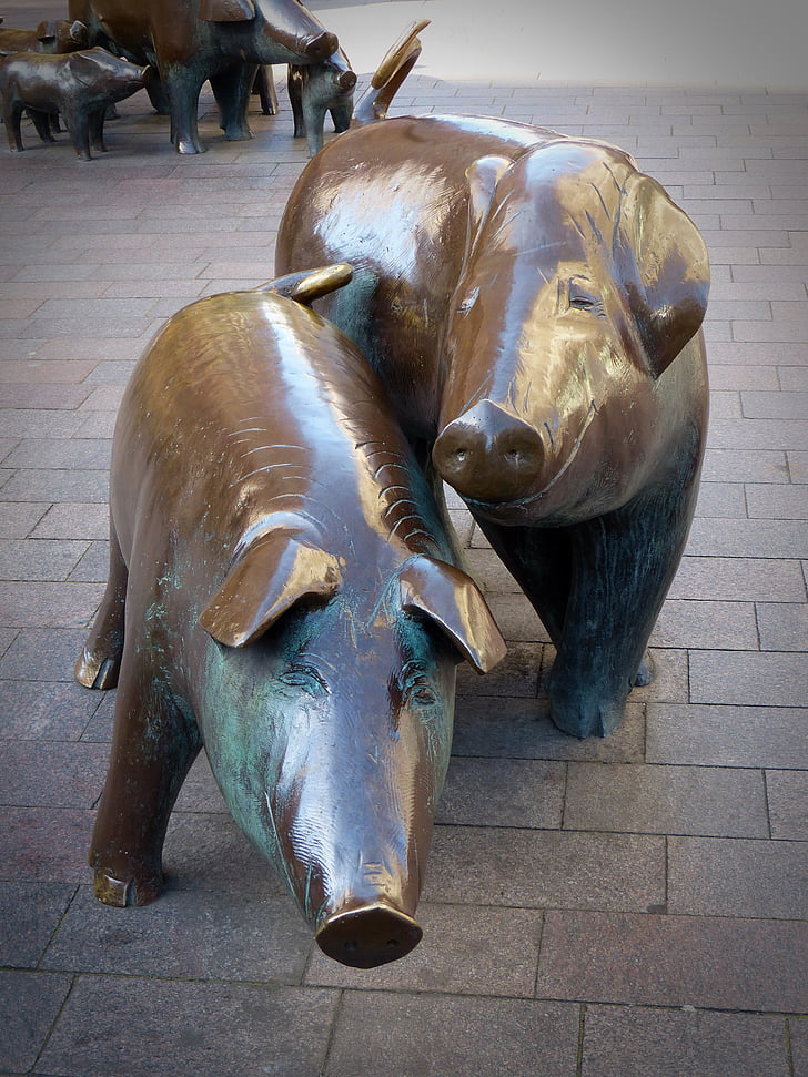 sculpture, pigs, bronze, art