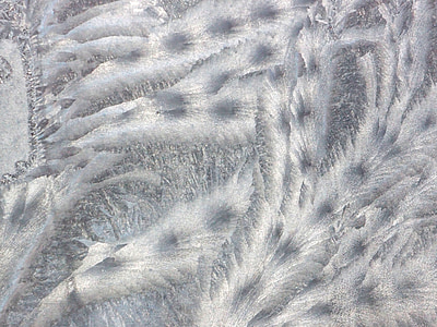 frost, window, pattern, winter, coldly, winter pattern, pattern on window