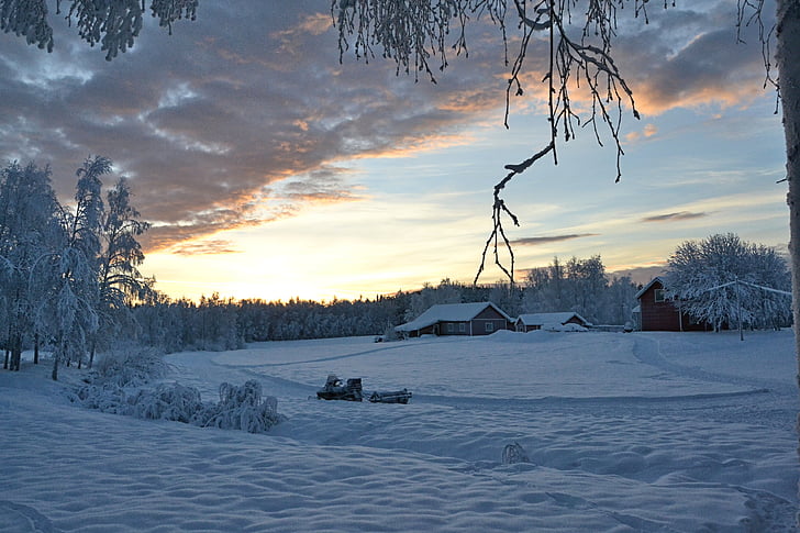 Lappföld, Svédország, naplemente, téli, téli, hó, természet