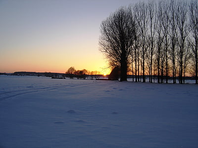 zimowe, Wieczorem, zachód słońca, drzewo, Słońce, Zmierzch, chmury