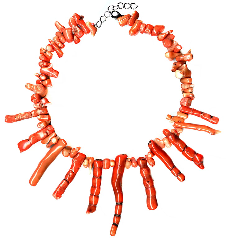 koraljni, fosilnih, ogrlica, ogrlica, narančasta, pravi, dragocjenim