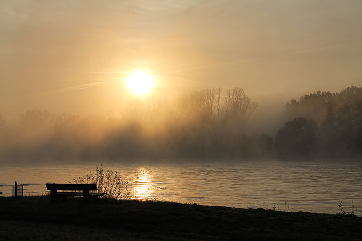 Rijn, mist, stemming, landschap, Rheingau, Bank, zonsopgang