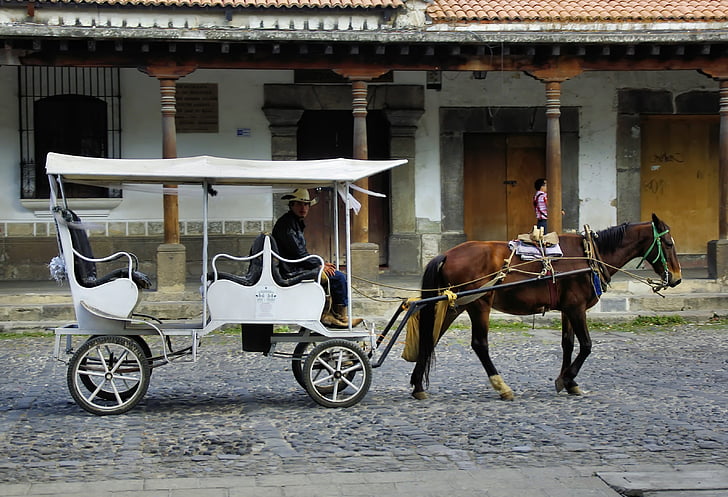 Mexique, Puebla, transport, véhicule, dessiné, cheval, panier