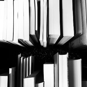 izvleček, umetnost, črno-belo, knjige, izobraževanje, knjižnica, svetlobe