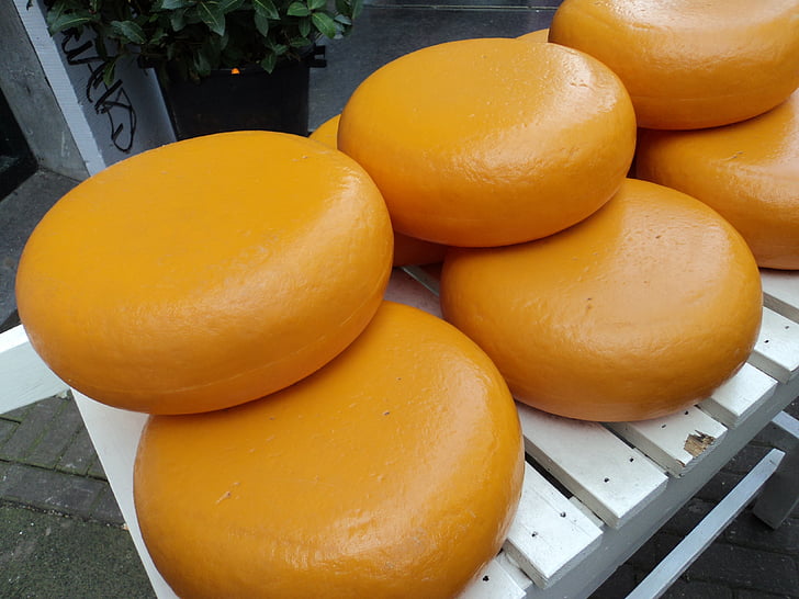 amsterdam, cheese, netherlands, cheese wheel, dairy, wheel, round