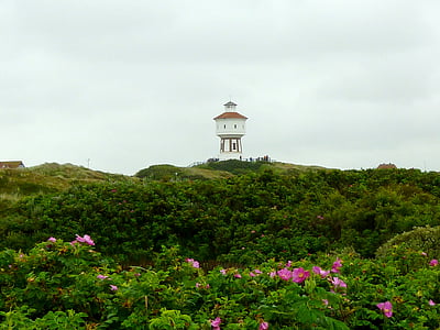 Lighthouse, Friesland, terén, Sky, Dovolenka