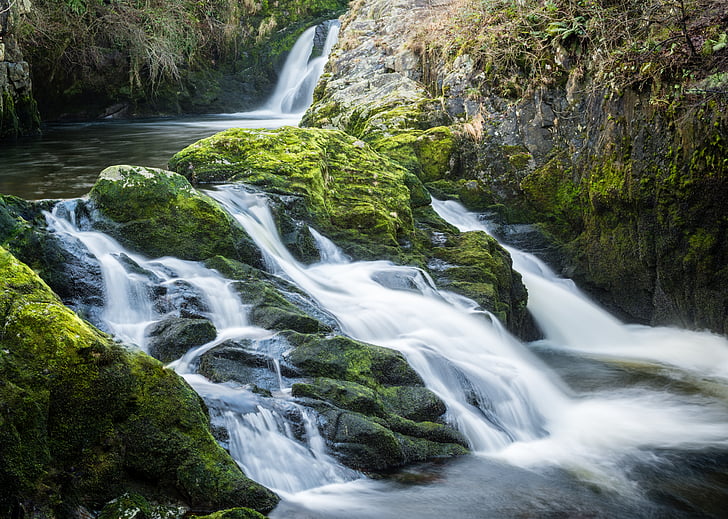 Ingleton, vattenfall, Trail, Yorkshire, vatten, naturen, England