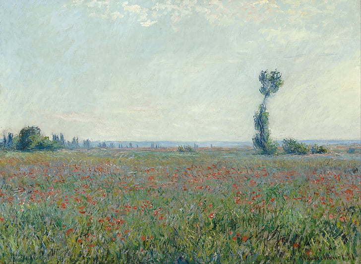 claude monet, painting, oil on canvas, artistic, nature, outside, sky
