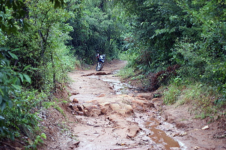 motociklas, džiunglės, kelių, medis, lietus, šlapiame kelyje, Paragvajus