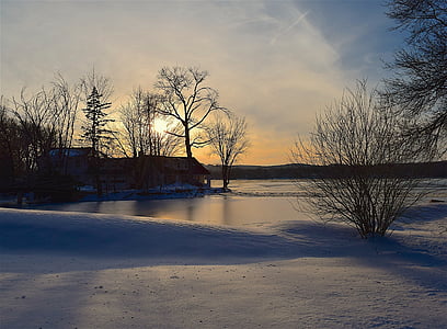 tree, silhouette, sunset, lake, winter, frozen, nature
