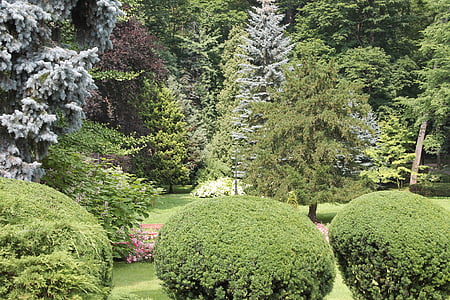 jardim, Kudowa-zdrój, árvore, Parque termal