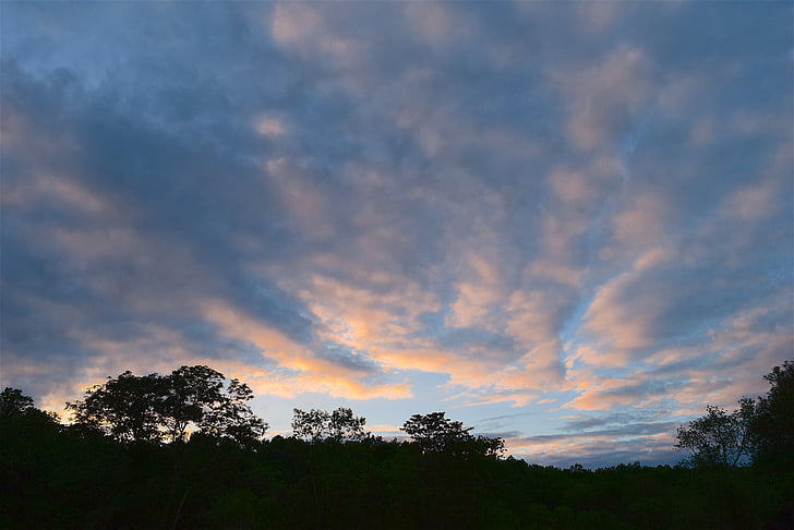 cielo, tramonto, nuvole, luce, natura, naturale, alberi