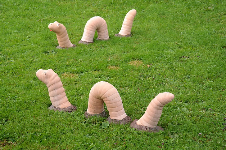 earthworm, snake, large, meadow, animal, sculpture, grass