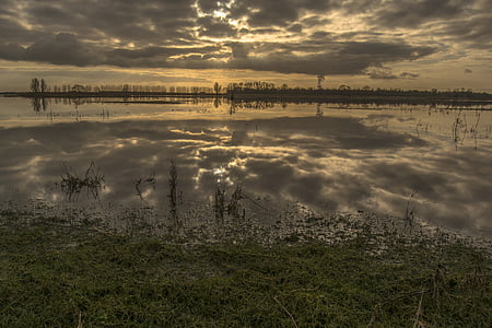 paysage, polder, soleil du matin, Meadow, dès le début, vue, nature