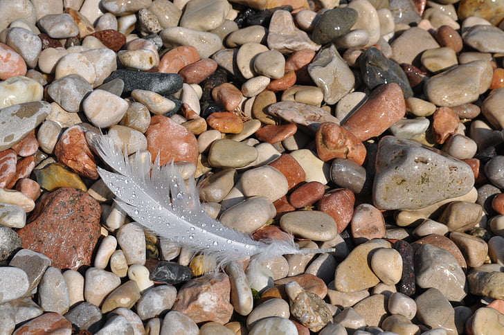 feather, pebbles, stone, drops