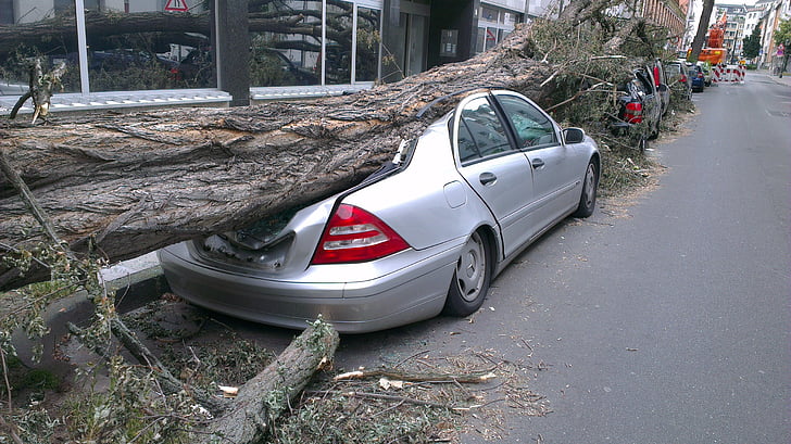 padlý strom, auto, vpred, tornádo, poškodenie, poistenie, cestné