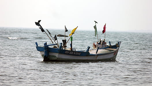 balıkçı teknesi, tekne, gemi, Balık tutma, su, Deniz, okyanus