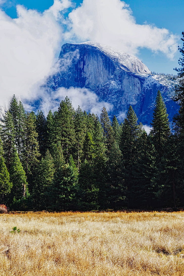 mezza cupola, Yosemite, Parco nazionale, California, paesaggio, prato, foresta